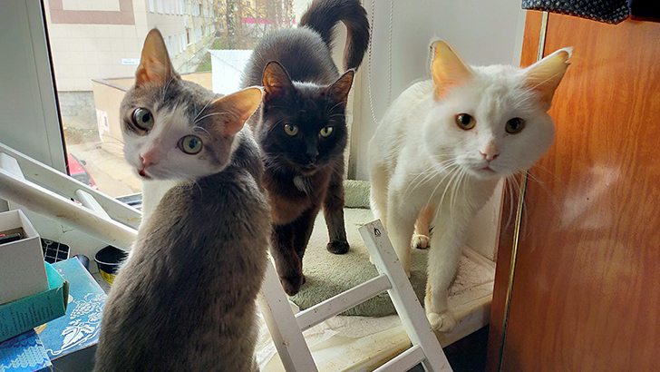 Фото В.Кузьмин (май, 2025)