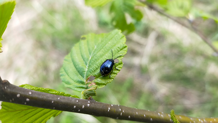 Фото В.Кузьмин (май, 2025)