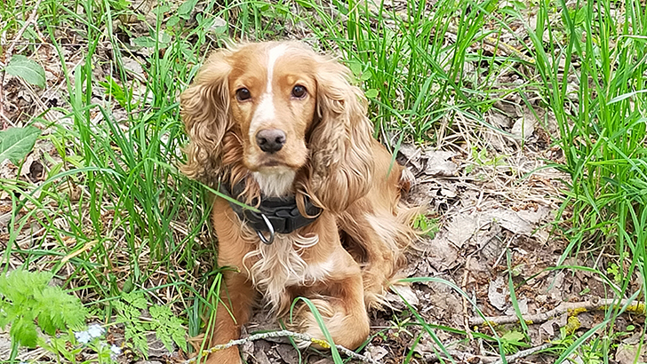 Фото В.Кузьмин (май, 2025)