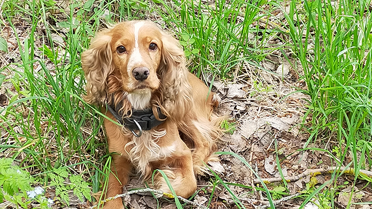 Фото В.Кузьмин (май, 2025)