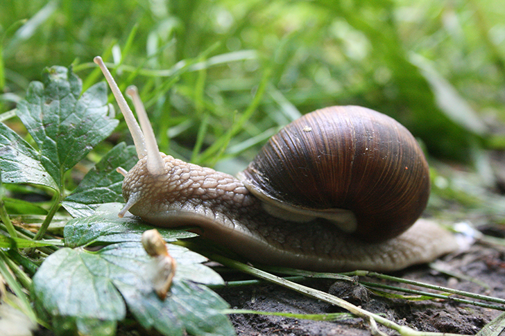 Фото В.Кузьмин (май, 2025)