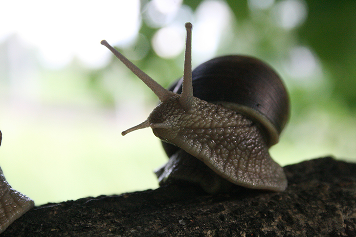 Фото В.Кузьмин (май, 2025)