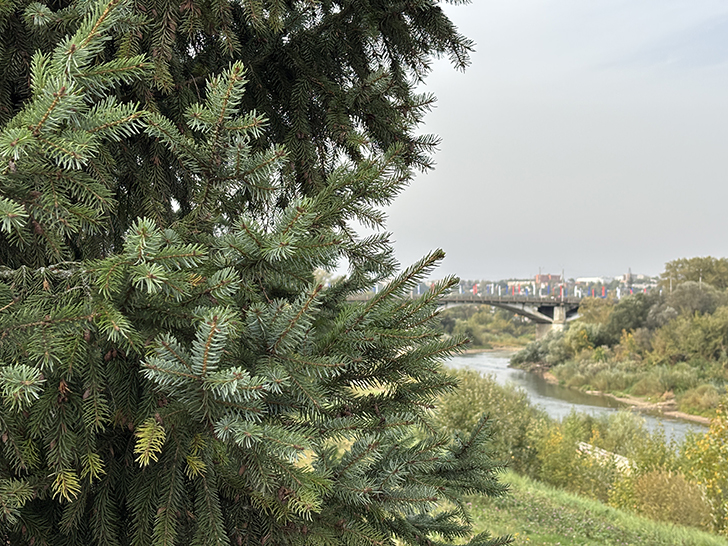 Смоленск (фото Олег Д., октябрь, 2024)