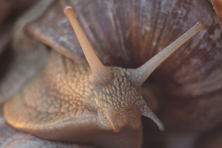 Фото В.Кузьмин (май, 2025)