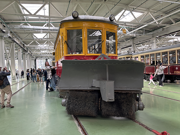 Фото Олег Д. (Москва, апрель, 2025)