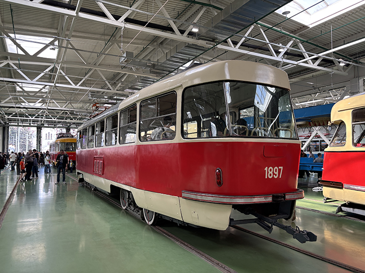 Фото Олег Д. (Москва, апрель, 2025)