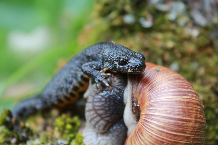 Фото В.Кузьмин (май, 2025)
