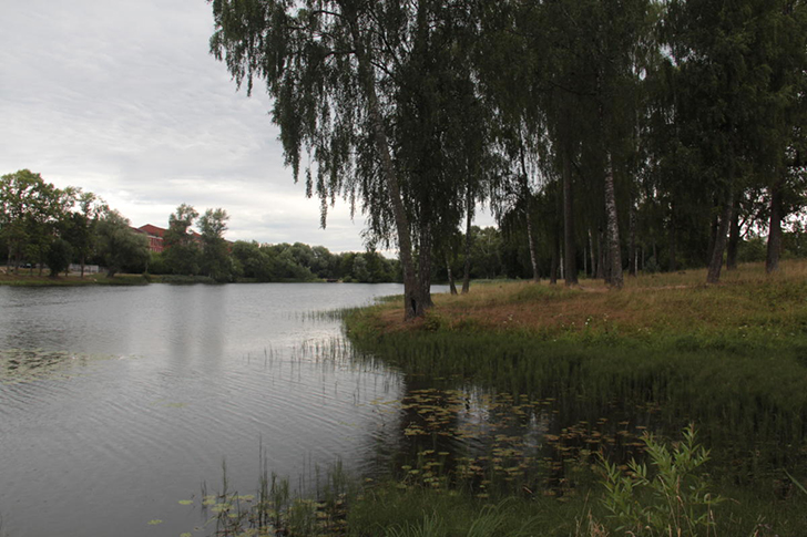 Высоковск (фото Е.Елиной и В.Кузьмина, июнь 2021 года)