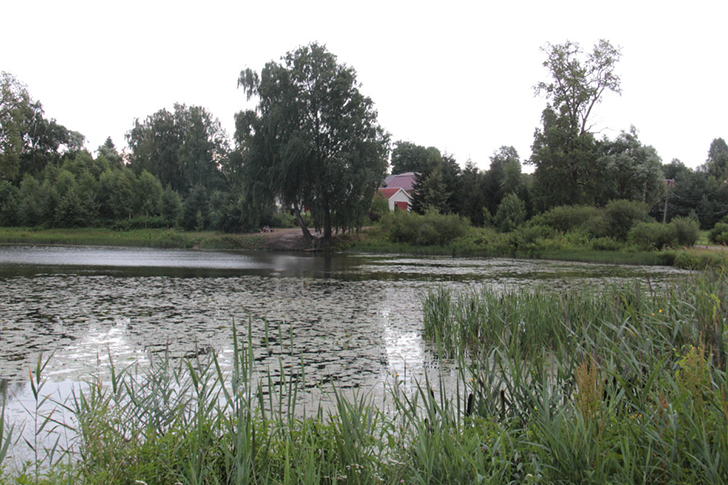 Высоковск (фото Е.Елиной и В.Кузьмина, июнь 2021 года)