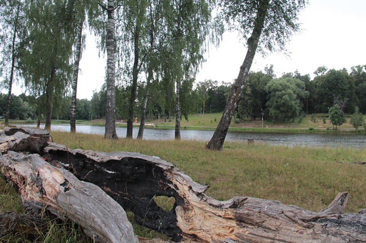 Высоковск (фото Е.Елиной и В.Кузьмина, июнь 2021 года)