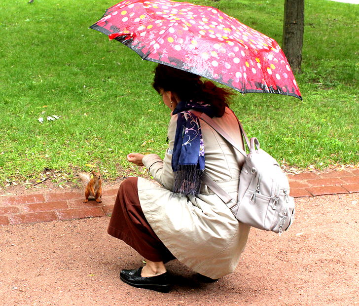 Москва, Царицино (фото В.Кузьмин, июнь, 2025)