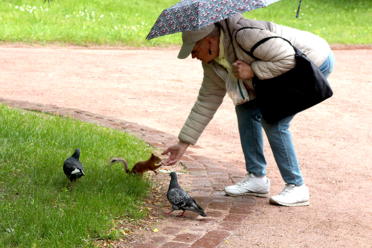 Москва, Царицино (фото В.Кузьмин, июнь, 2025)
