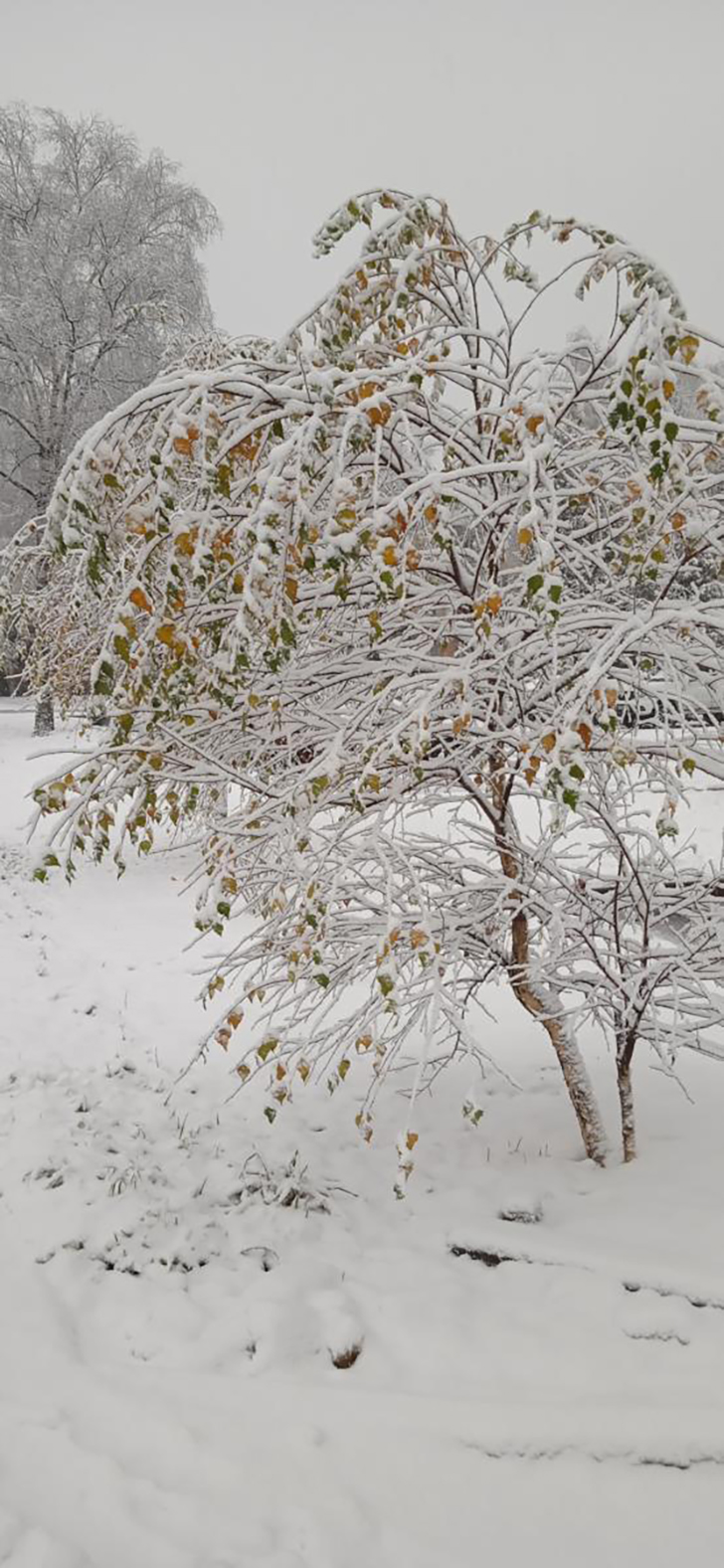 г.Клин, зима 2020/2021 год (Фото В.Кузьмин)