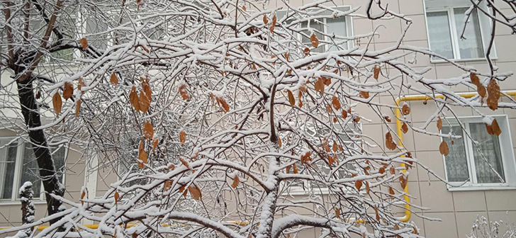 г.Клин, зима 2020/2021 год (Фото В.Кузьмин)