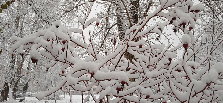 г.Клин, зима 2020/2021 год (Фото В.Кузьмин)
