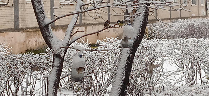 г.Клин, зима 2020/2021 год (Фото В.Кузьмин)