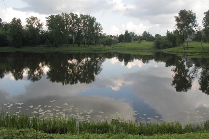 г.Высоковск, лето 2021 (фото Василия и Дмитрия Кузьминых, июнь 2021 года)