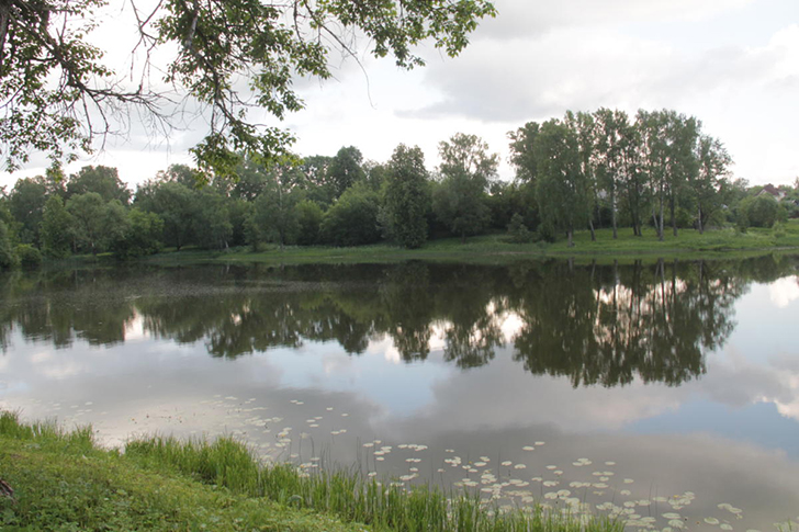 г.Высоковск, лето 2021 (фото Василия и Дмитрия Кузьминых, июнь 2021 года)