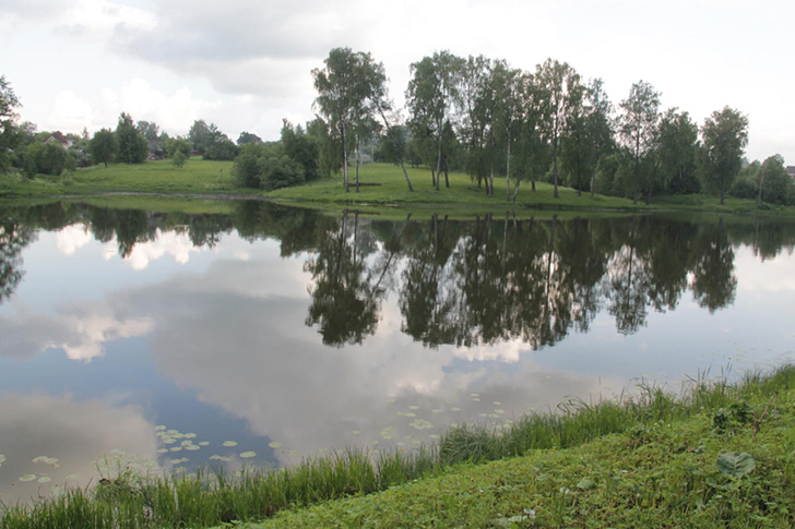 г.Высоковск, лето 2021 (фото Василия и Дмитрия Кузьминых, июнь 2021 года)