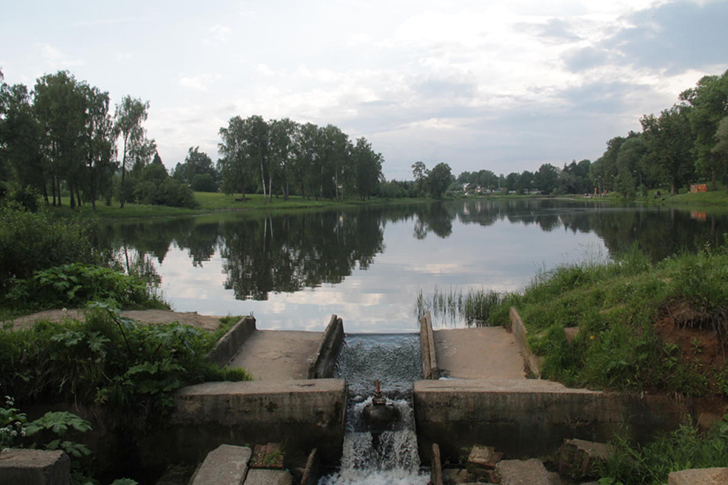 г.Высоковск, лето 2021 (фото Василия и Дмитрия Кузьминых, июнь 2021 года)