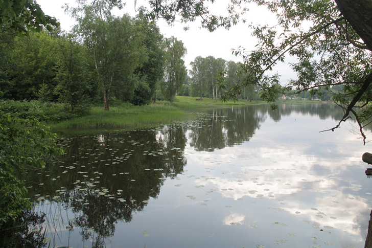 г.Высоковск, лето 2021 (фото Василия и Дмитрия Кузьминых, июнь 2021 года)