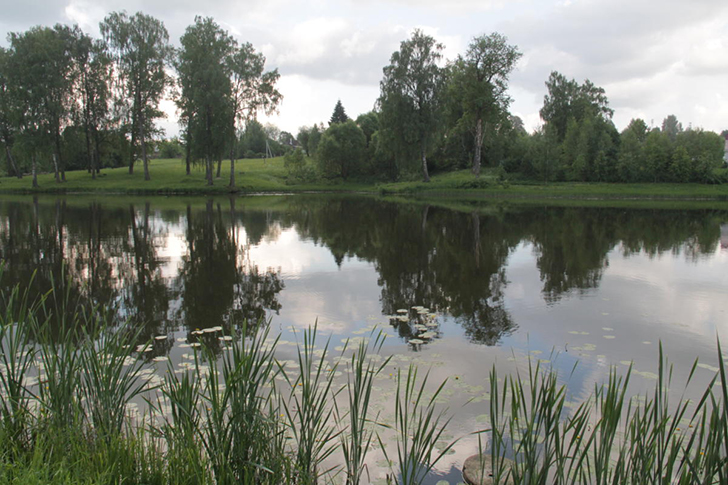 г.Высоковск, лето 2021 (фото Василия и Дмитрия Кузьминых, июнь 2021 года)