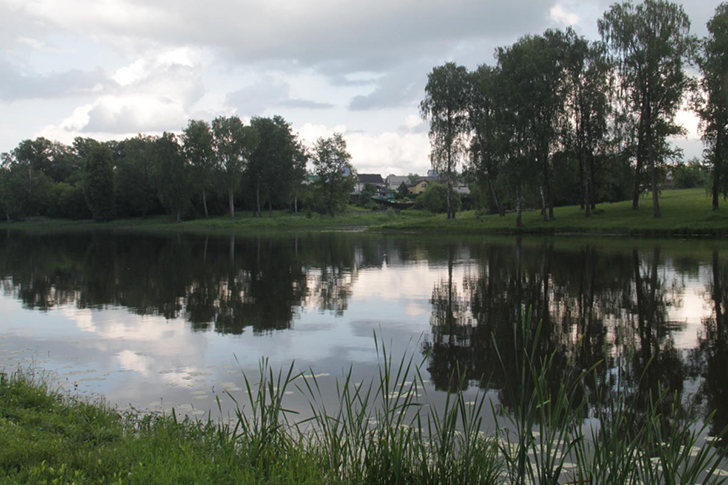 г.Высоковск, лето 2021 (фото Василия и Дмитрия Кузьминых, июнь 2021 года)