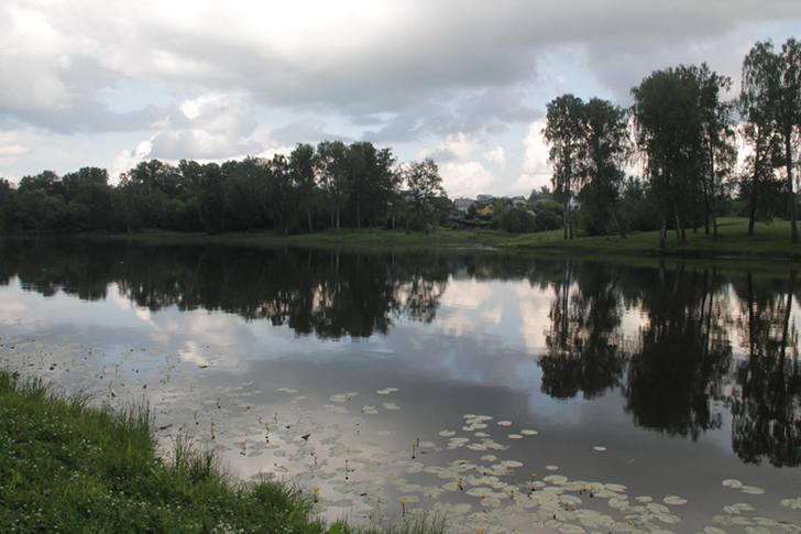 г.Высоковск, лето 2021 (фото Василия и Дмитрия Кузьминых, июнь 2021 года)