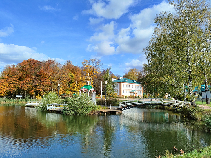 Золотая осень (фото Олег Д., 2022 год)