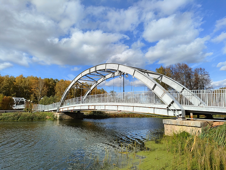 Золотая осень (фото Олег Д., 2022 год)
