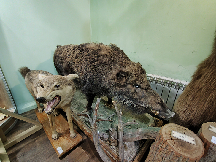 Клинский краеведческий музей (фото Олег Д., 2023 год)