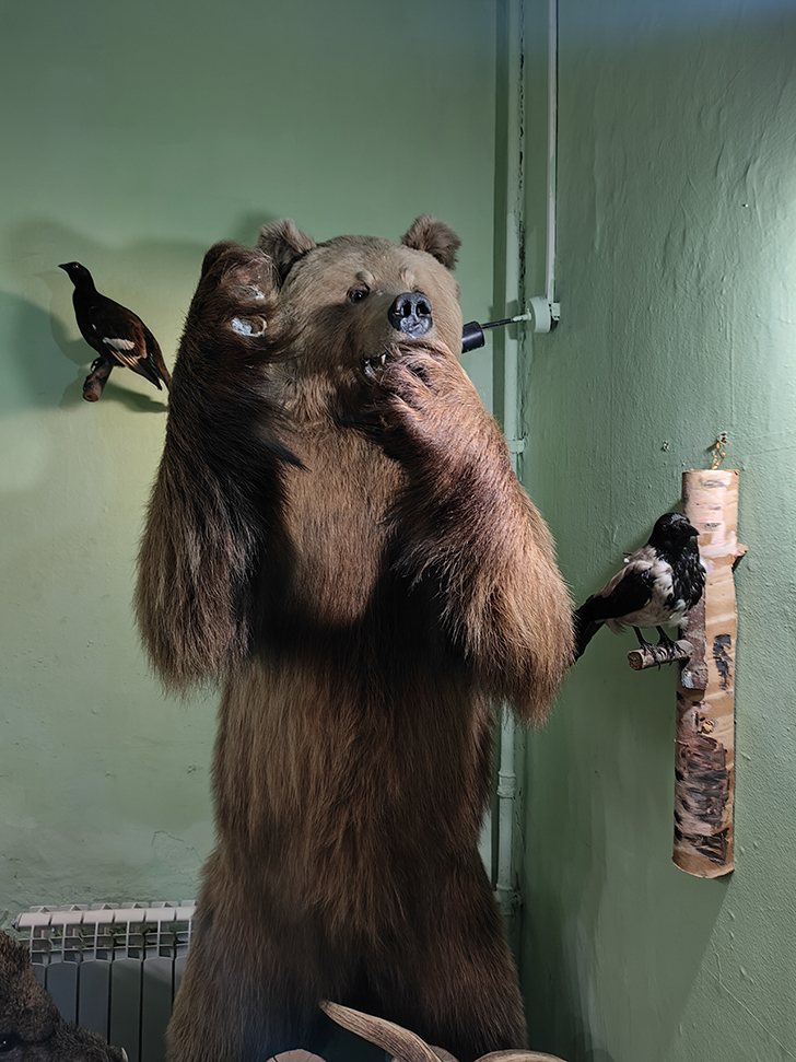 Клинский краеведческий музей (фото Олег Д., 2023 год)