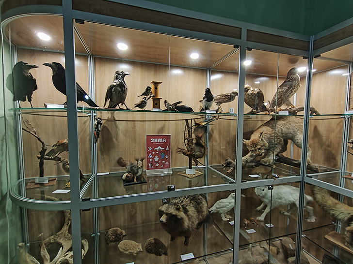 Клинский краеведческий музей (фото Олег Д., 2023 год)