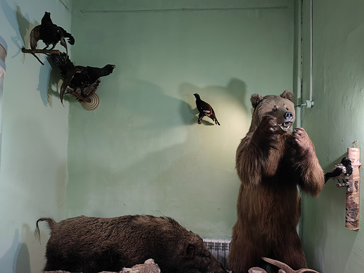 Клинский краеведческий музей (фото Олег Д., 2023 год)