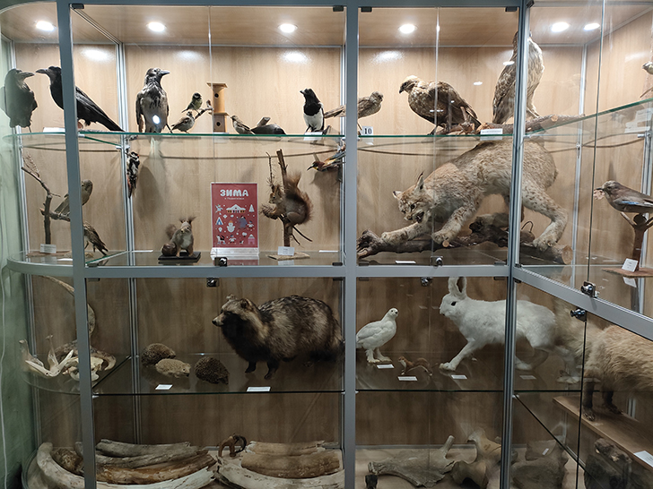 Клинский краеведческий музей (фото Олег Д., 2023 год)