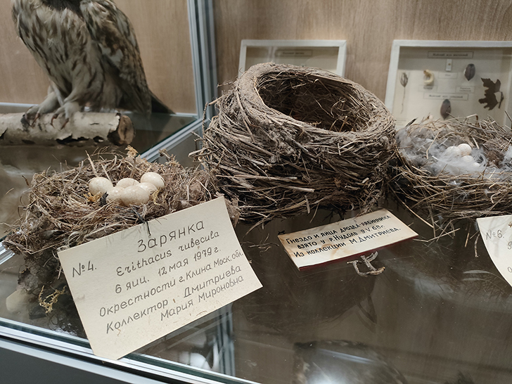 Клинский краеведческий музей (фото Олег Д., 2023 год)