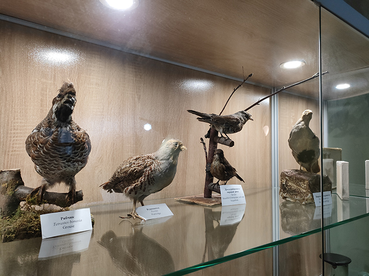 Клинский краеведческий музей (фото Олег Д., 2023 год)