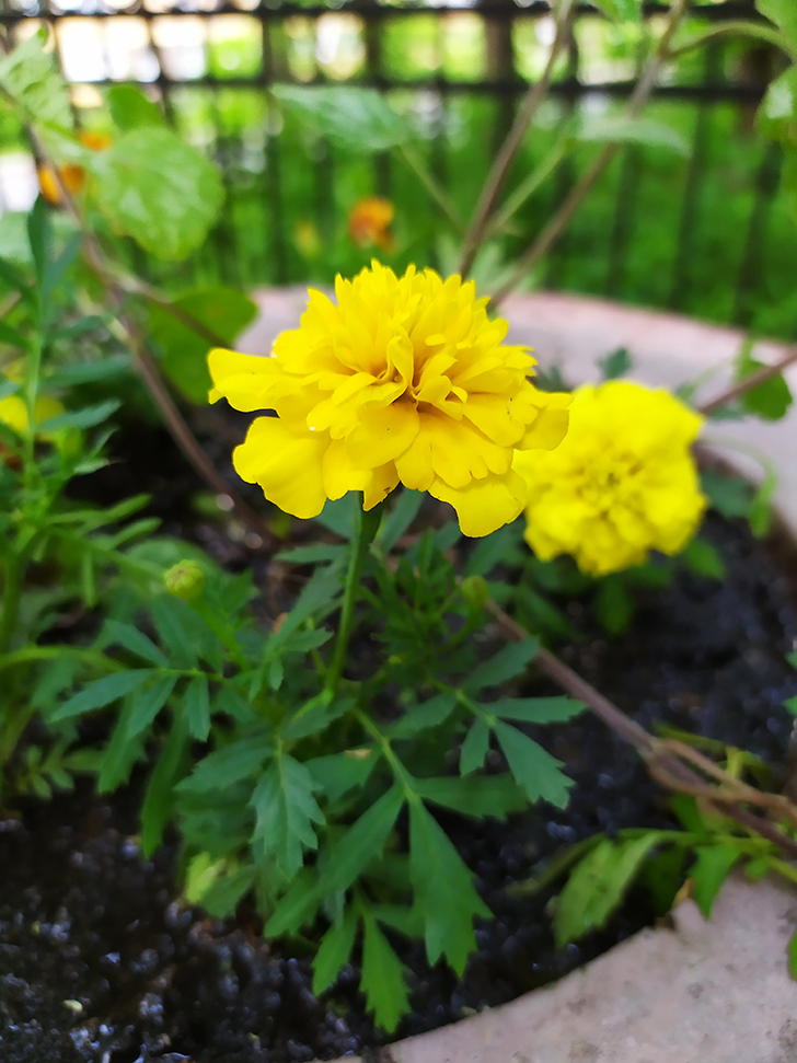 Фото Олег Д.