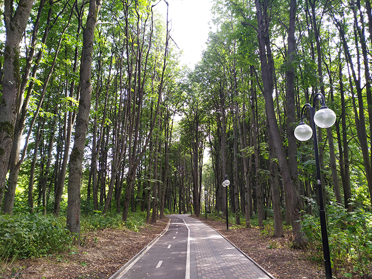 Парк культуры и отдыха Сестрорецкий, город Клин (фото Олег Д., 2019 год)