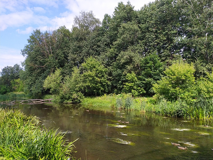 Парк культуры и отдыха Сестрорецкий, город Клин (фото Олег Д., 2019 год)