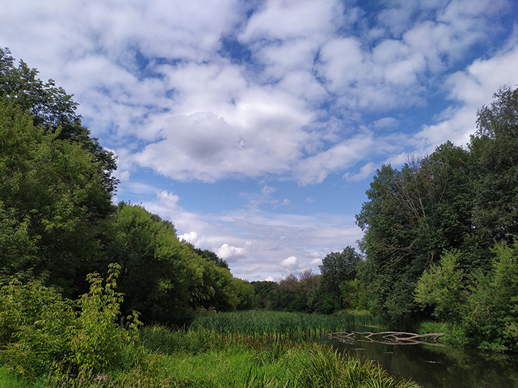 Парк культуры и отдыха Сестрорецкий, город Клин (фото Олег Д., 2019 год)
