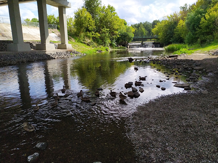 Парк культуры и отдыха Сестрорецкий, город Клин (фото Олег Д., 2019 год)