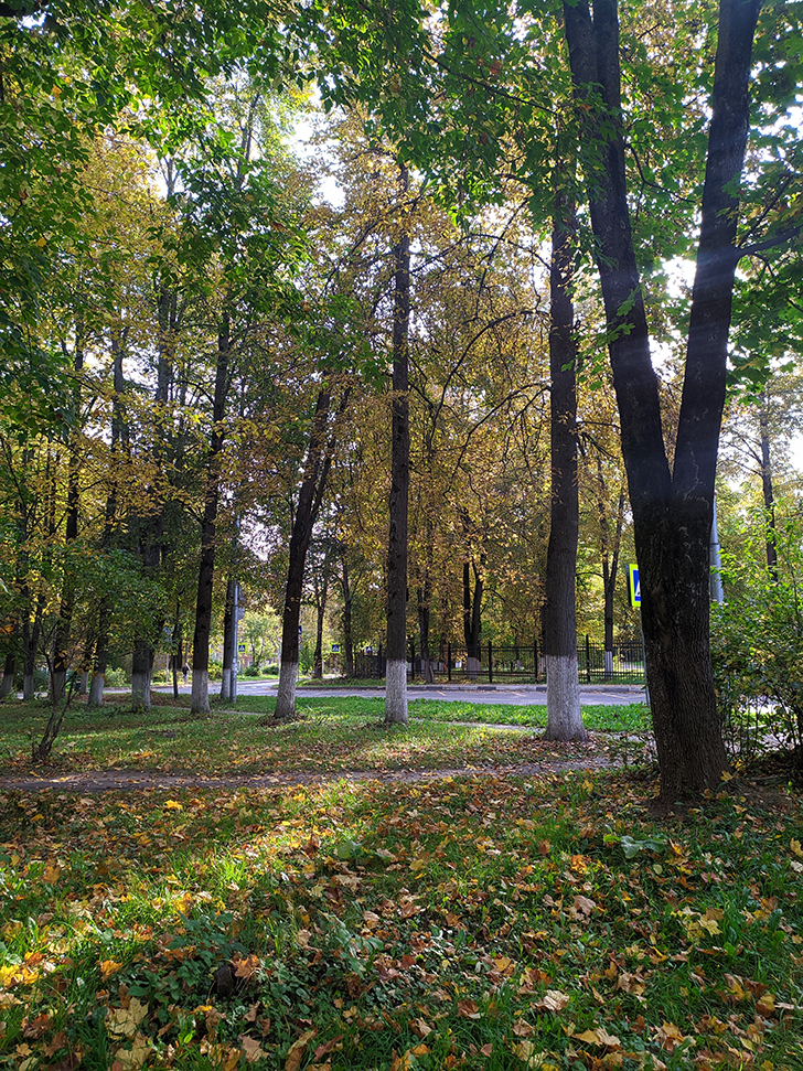 Золотая осень (фото Олег Д., 2020 год)