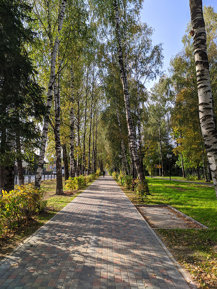 Золотая осень (фото Олег Д., 2020 год)