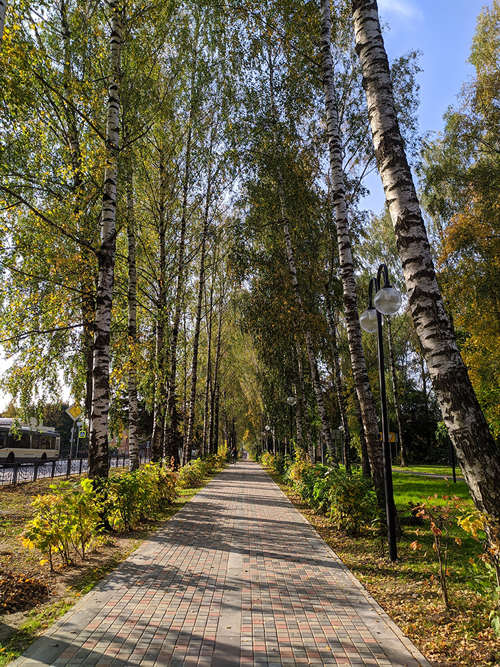 Золотая осень (фото Олег Д., 2020 год)