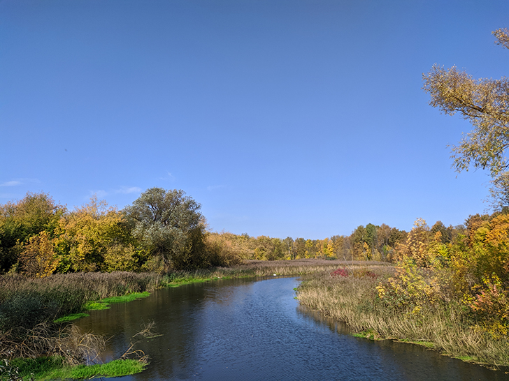 Золотая осень (фото Олег Д., 2020 год)