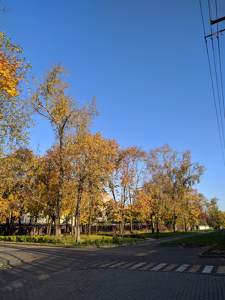 Золотая осень (фото Олег Д., 2020 год)