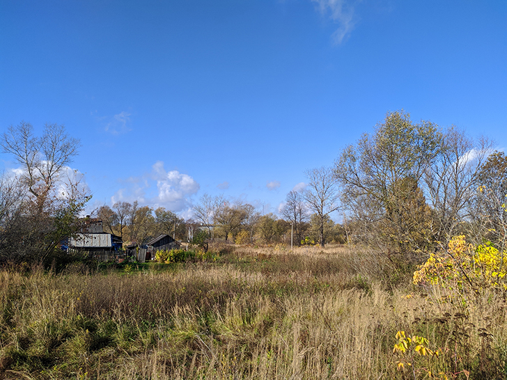 Золотая осень (фото Олег Д., 2020 год)