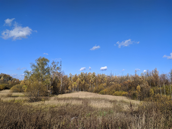 Золотая осень (фото Олег Д., 2020 год)