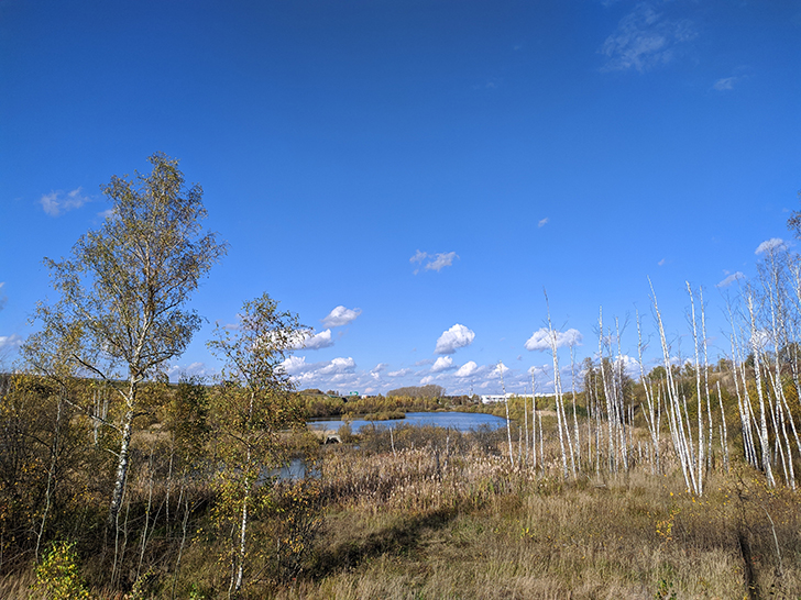 Золотая осень (фото Олег Д., 2020 год)